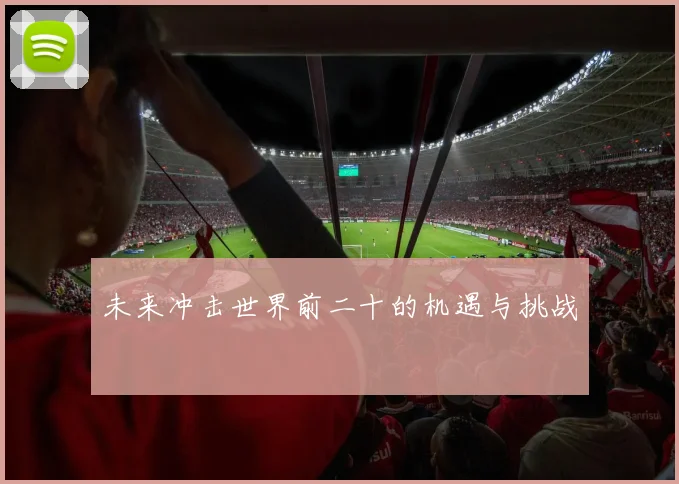 未来冲击世界前二十的机遇与挑战