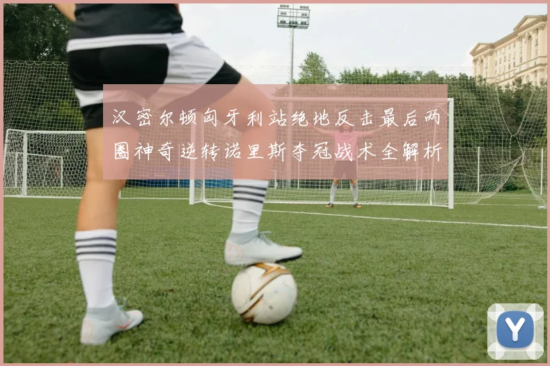 汉密尔顿匈牙利站绝地反击最后两圈神奇逆转诺里斯夺冠战术全解析