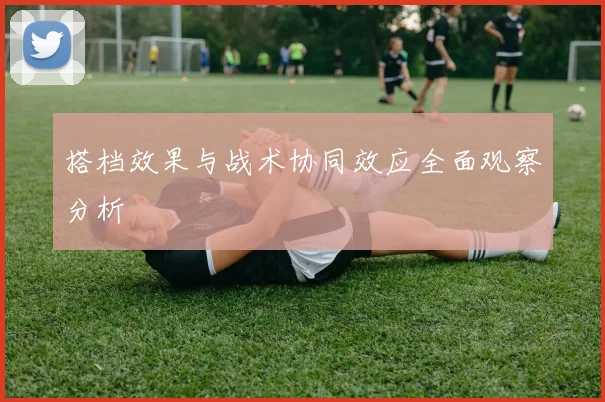 搭档效果与战术协同效应全面观察分析