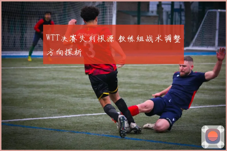 WTT决赛失利根源 教练组战术调整方向探析